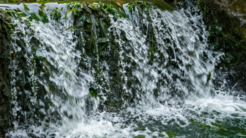 Cascada de agua con floración de algas