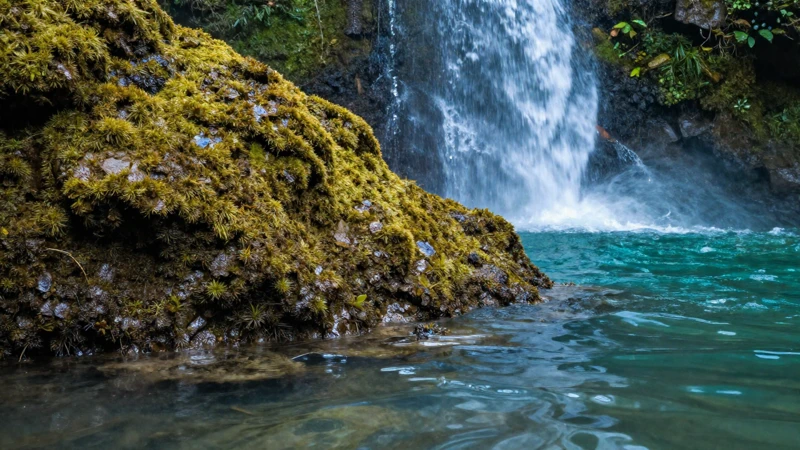 Agua turquesa con musgo de cascada tropical
