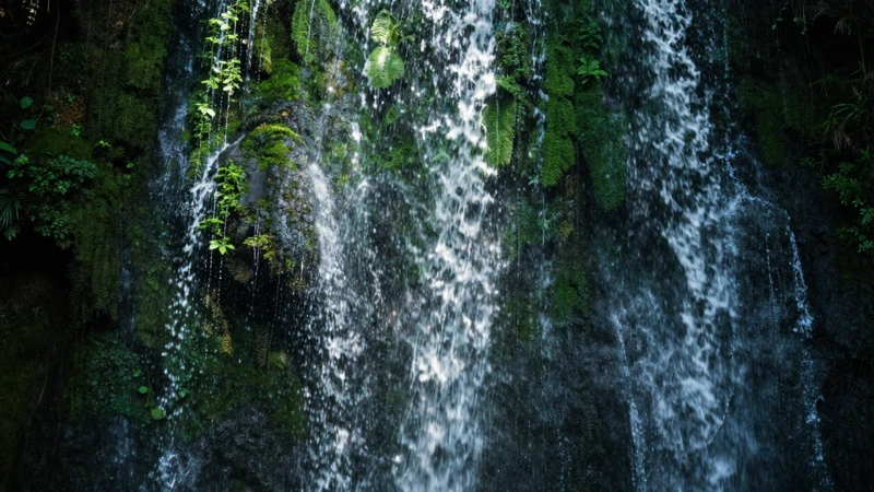 Cascada tropical verde con luz detallada