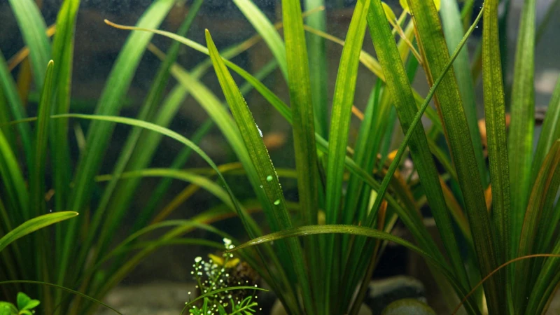 Ecosistema acuático vibrante y detallado
