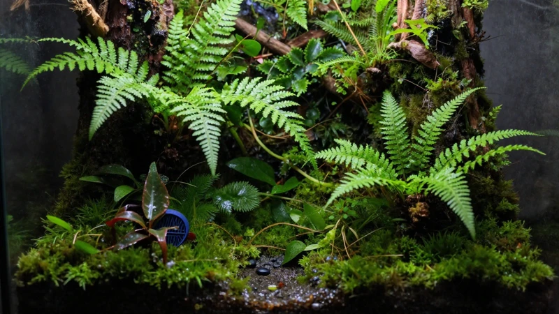 Terrario exuberante y equilibrado con luz suave