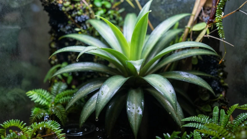 Terrario tropical exuberante y detallado