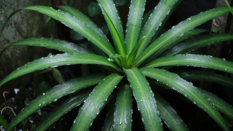 Planta tropical detallada en un terrario