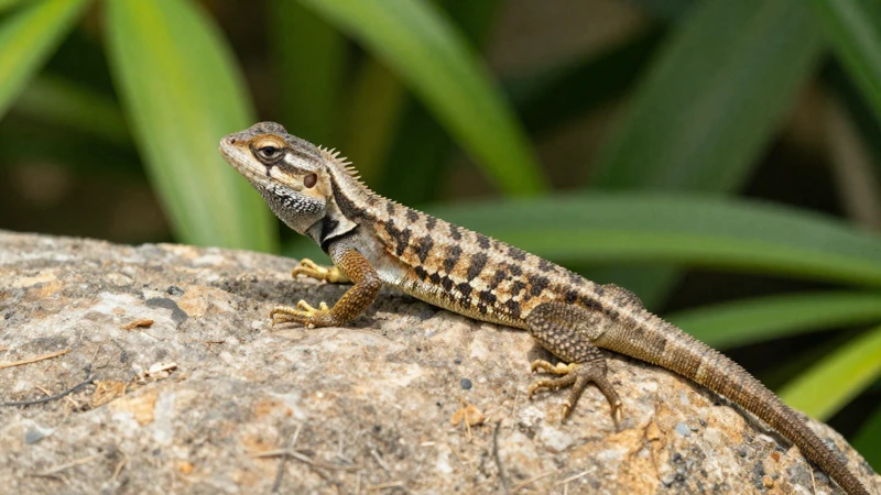 Lagarto detallado en ambiente tropical