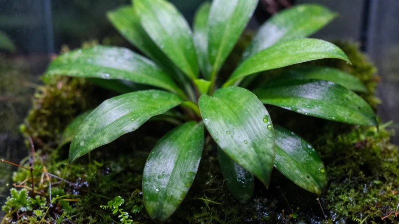 Helecho verde detallado en terrario