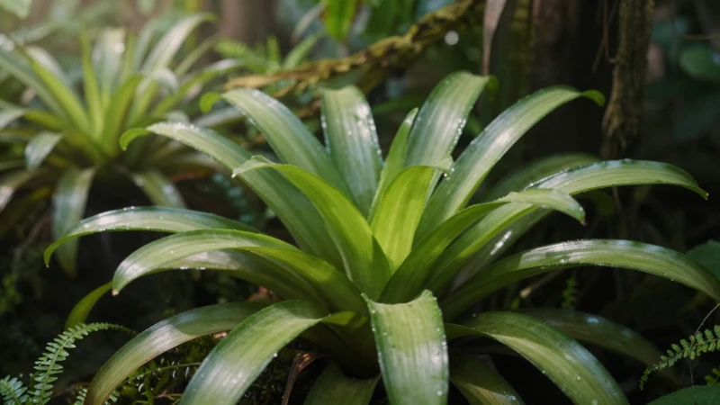 Macro detallado de bromeliadas tropicales