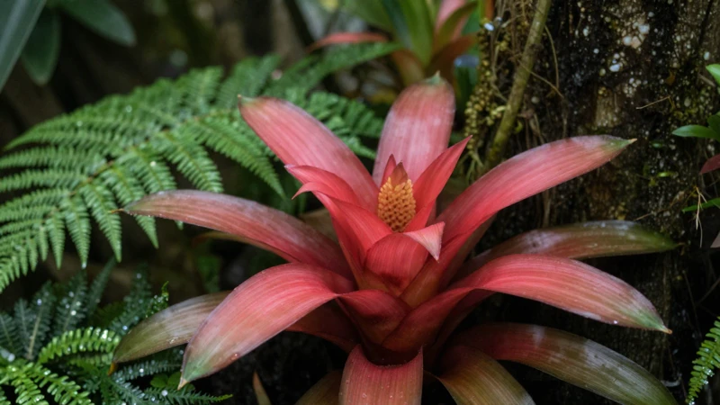 Bromelias tropicales con luz suave