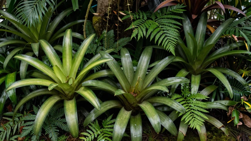Entorno tropical detallado con luz suave