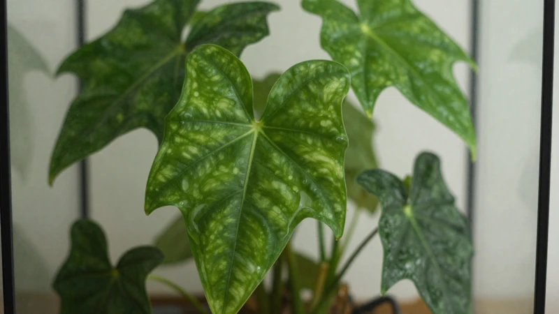 Plantas verdes en un terrario luminoso